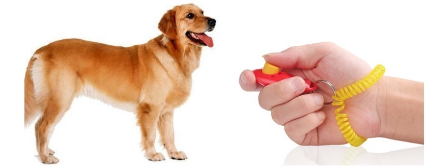  postage 140 jpy dog kli car upbringing kli car training dog pipe uselessness .. prevention . training click sound dog cat parakeet pet 