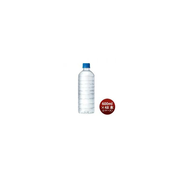 600ml / 48本