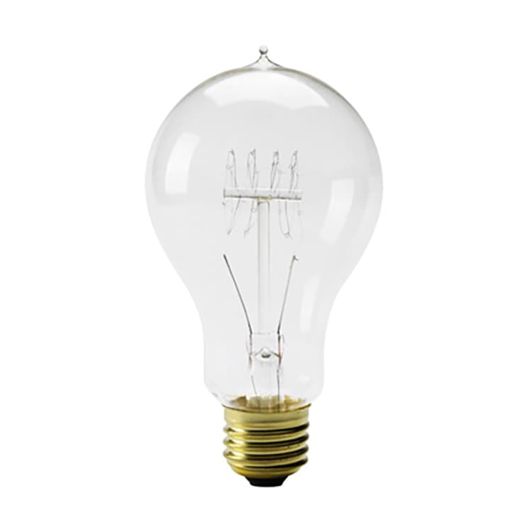 EdisonBulb エジソンバルブ Aシェイプ （L） 40W E26 白熱電球の商品画像
