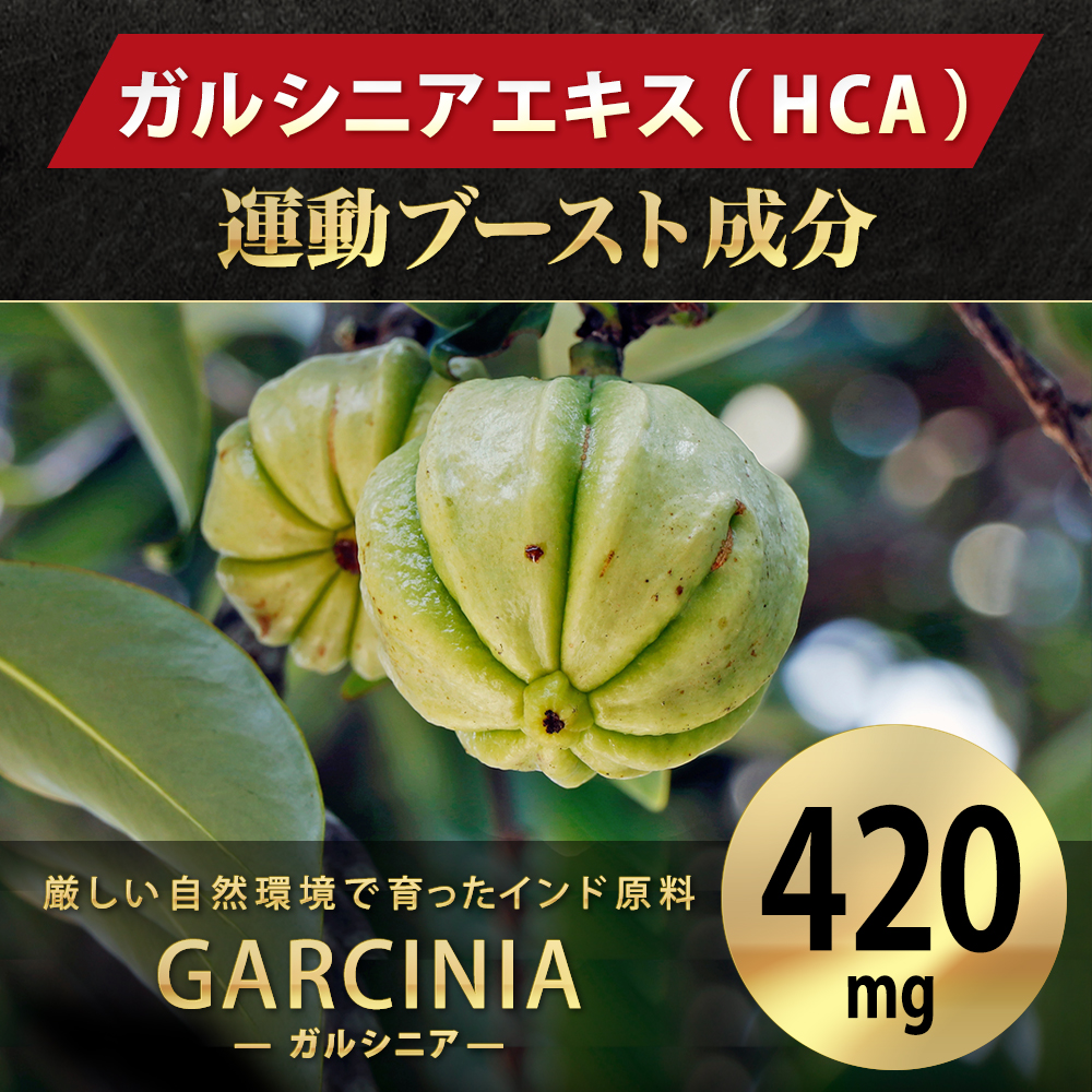  diet supplement garusinia420mg black Gin ja-120mge rug acid 3.1mg hot bar nHOTBURN 180 pills 30 day minute free shipping 