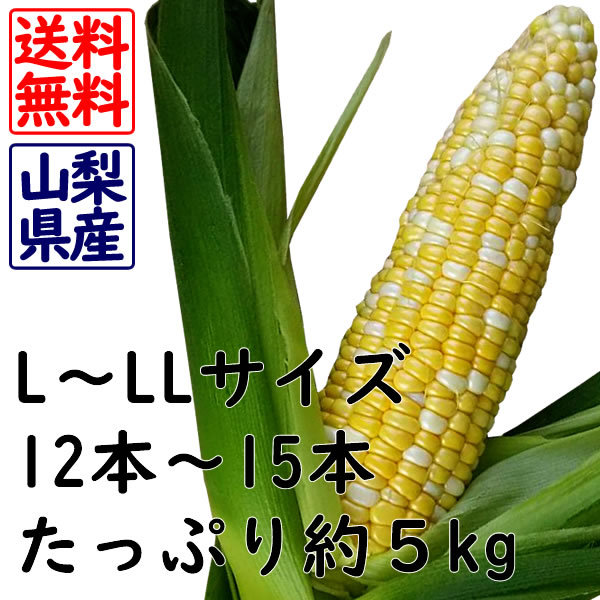  День отца кукуруза ........ регион бренд Yamanashi префектура производство 5kg 12~15 шт. входит .L~LL размер бесплатная доставка сырой еда кукуруза Ichikawa Misato блок .. праздник 