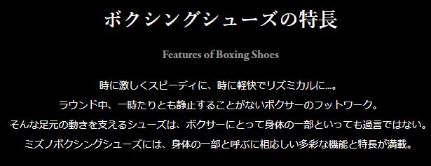  Mizuno бокс обувь производство на заказ финишная отделка MID 21GA231002