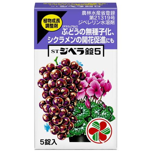  plant growth adjustment .STjibela pills 5 5 pills go in Sumitomo . an educational institution . returned goods kind another A