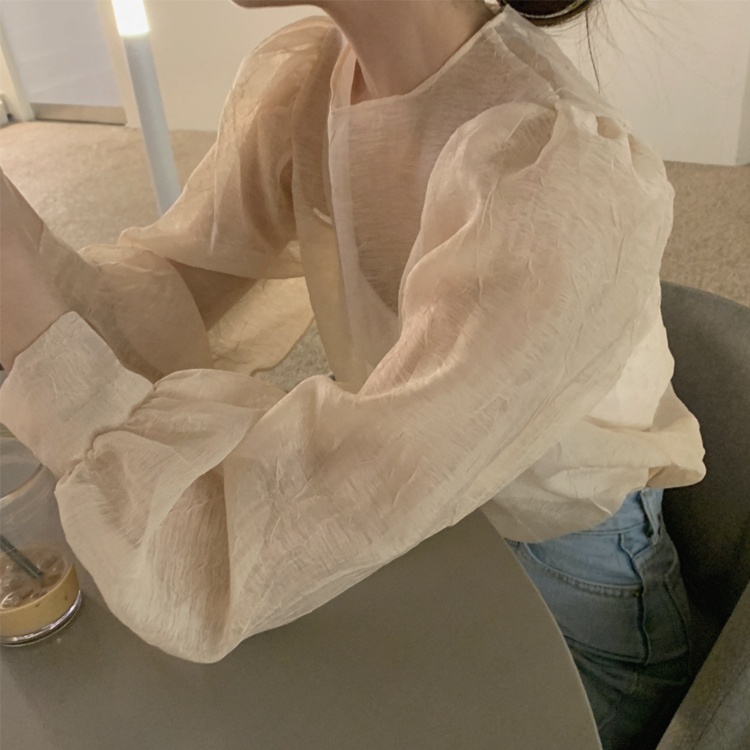 ブラウス レディース トップス 長袖 シアーブラウス すけ感 しわ ゆったり エレガント シアー シースルー エレガント おしゃれ フェミニン 春 夏 秋  ジョイフィール joyfeel