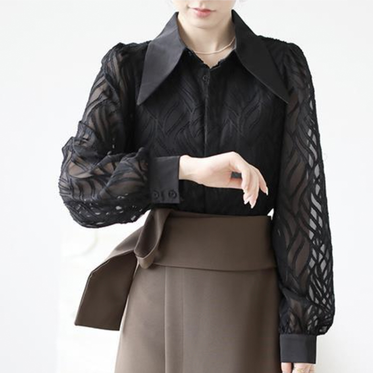 ブラウス レディース 長袖 春 夏 秋 シースルー シアーブラウス 柄 襟 おおきめ襟 黒 ベージュ レトロ エレガント 通勤 OL きれいめ  Dazzle ダズル