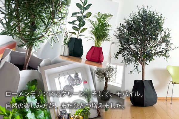 Seal限定商品 インテリア 鉢 室内 プランター 布鉢 水受け不要 観葉植物 ファブリックプランター Mサイズ 水量計付き 布製植木鉢 高級感 Www Technet 21 Org