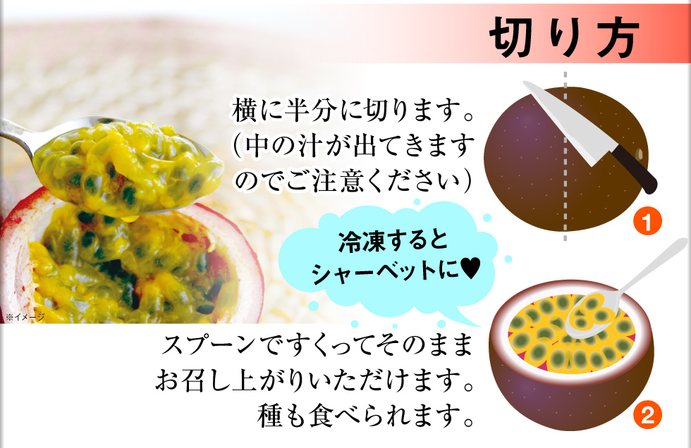 ( Point 2 times ) Okinawa production passionfruit preeminence goods 900g 9~12 sphere JA.... gift clock .