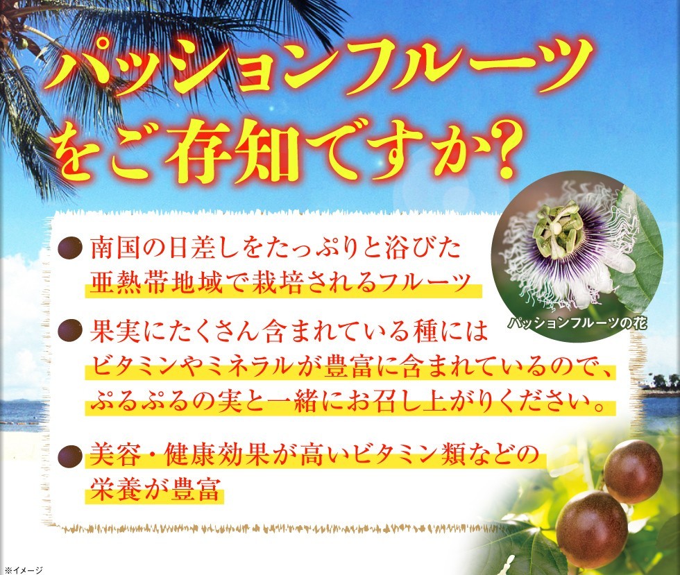 ( Point 2 times ) Okinawa production passionfruit home use 900g 9~12 sphere JA.... gift clock .