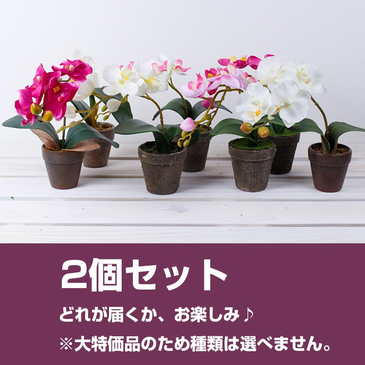  Mother's Day flower gift present artificial flower Mini . butterfly orchid 2 piece set . for celebration present entranceway 