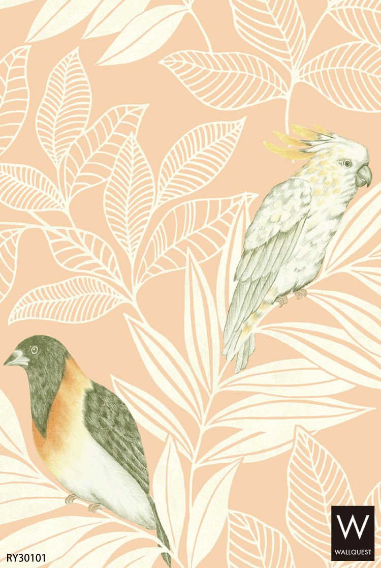 TECIDO 輸入壁紙 クロス テシード アメリカ製 鳥 オウム 植物 TECIDO 輸入壁紙 クロス テシード アメリカ製 鳥 オウム 植物