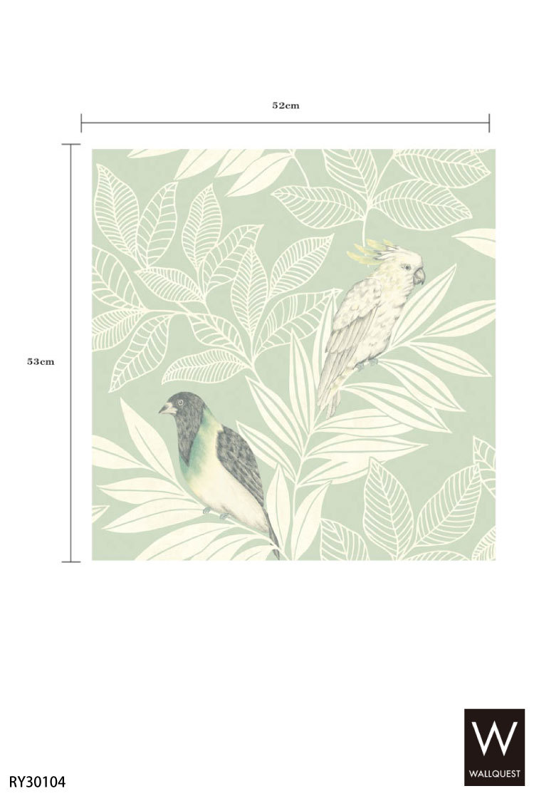 TECIDO 輸入壁紙 クロス テシード アメリカ製 鳥 オウム 植物 TECIDO 輸入壁紙 クロス テシード アメリカ製 鳥 オウム 植物