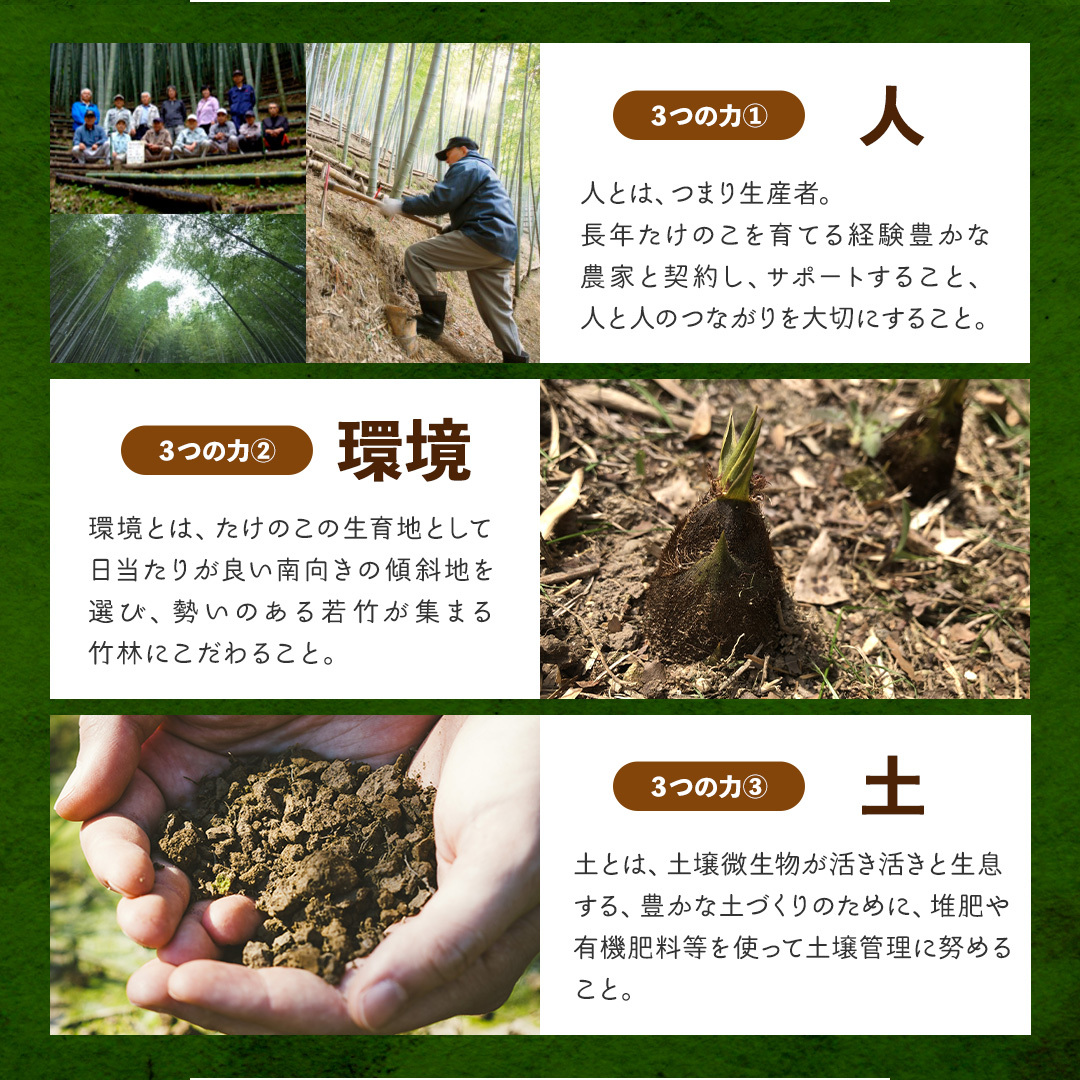  включая доставку Kyushu производство побеги бамбука бамбук. .. вода . тигр ikatto 120g×5 пакет комплект Ueno еда местного производства внутренний производство для бизнеса 