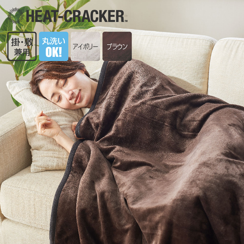 パナソニック DB-RM3M-C（電気かけしき毛布 シングルMサイズ
