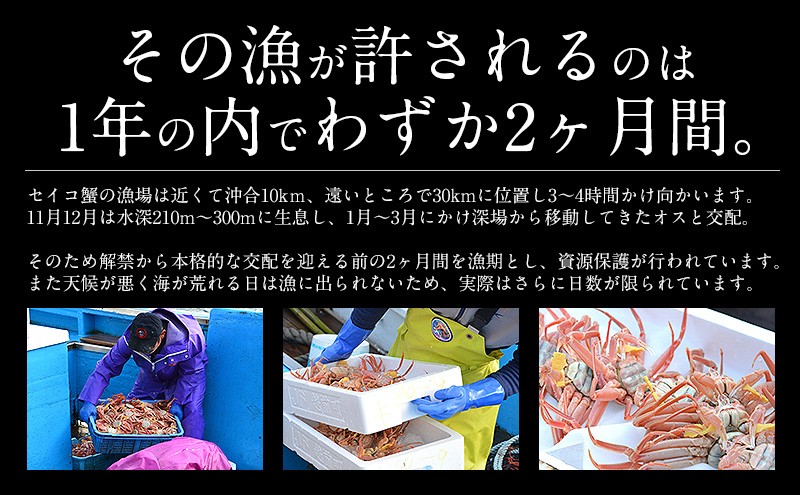 seikogani.. peak small size 70g rom and rear (before and after) ×1 piece (.. width approximately 7.5cm) Echizen pine leaf .... pine leaf crab seiko. pine leaf gani food your order gourmet Mother's Day gift Father's day 