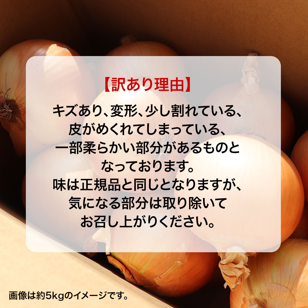  with translation onion 1kg L~2L onion . home use large amount vegetable domestic production sphere leek 