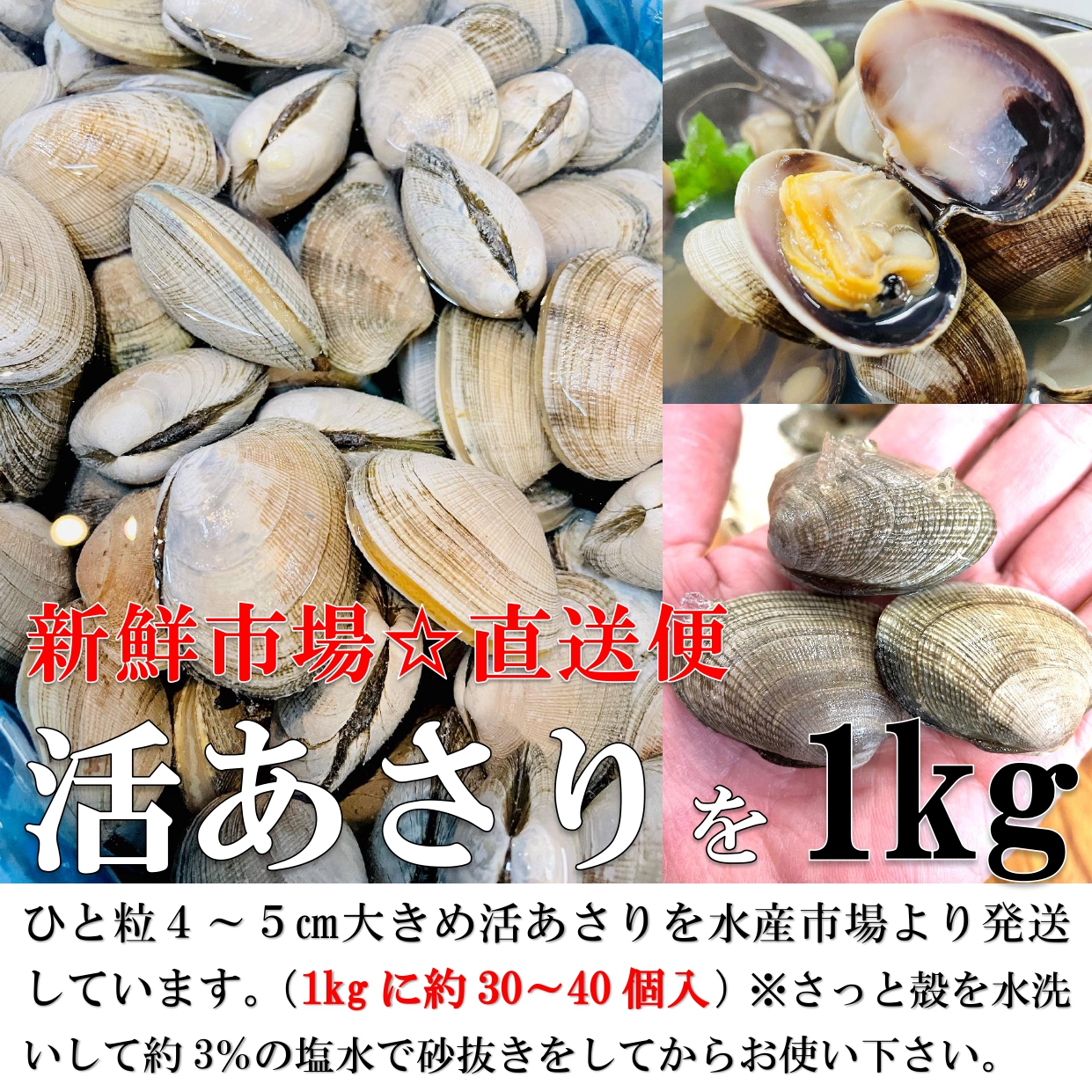 ....1kg Hokkaido production large grain 1 piece 20~30g large grain ... domestic production ... natural ... littleneck clam . profit ..