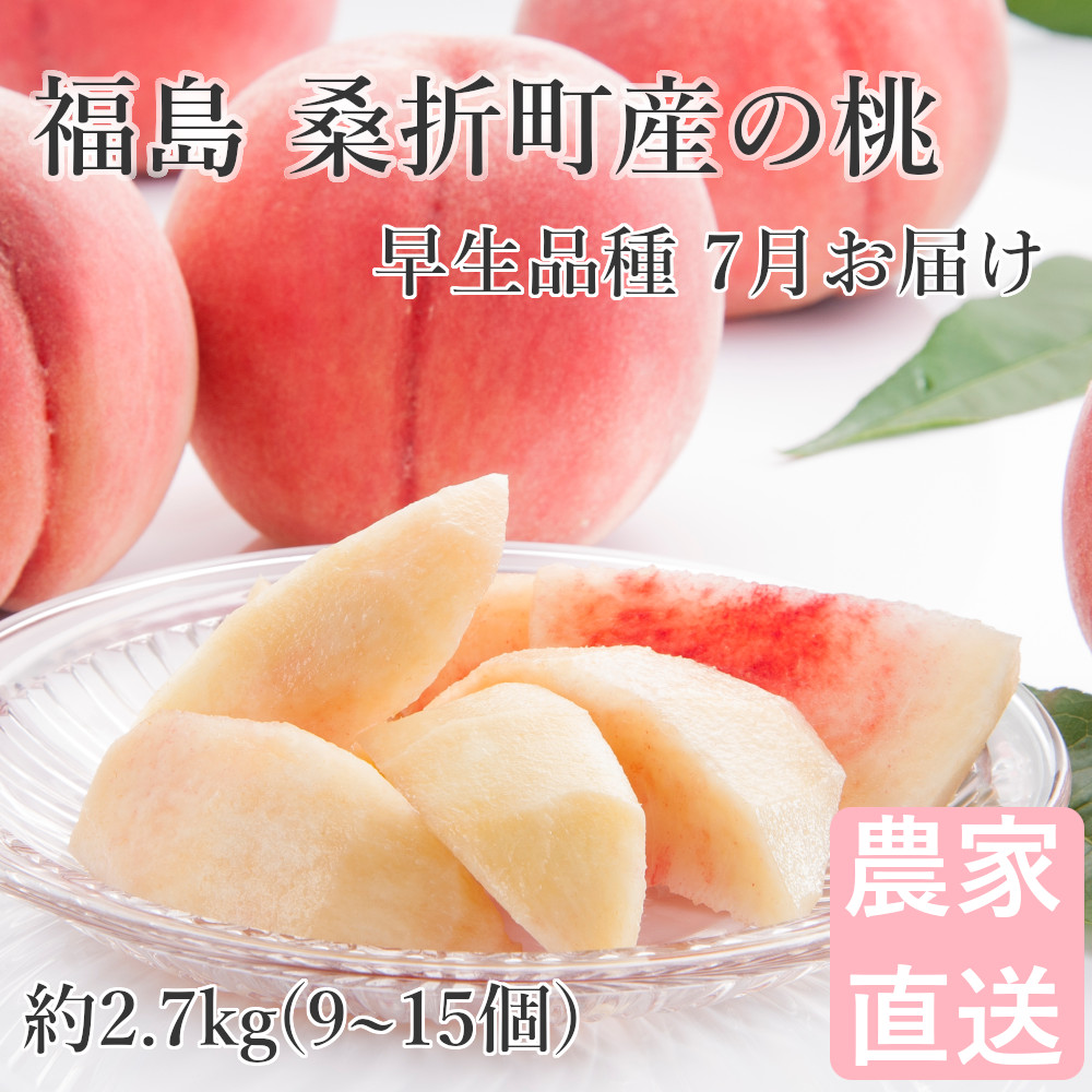  peach 2.7kg(9~15 piece ) Fukushima mulberry . block production general goods . raw goods kind incidental 7 month delivery normal temperature delivery 