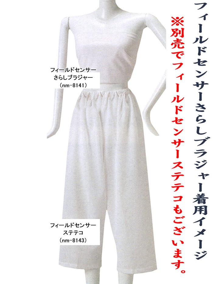 フィールドセンサーさらしすててこ