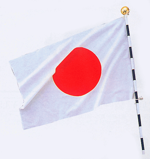 日の丸　日本国旗　サンポール　旗 手持ち 日本国旗 1本 フラッグポール付き 日の丸 旗 8号 （14cm