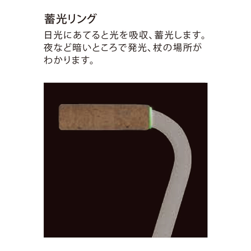 Fuji Home( Fuji Home ) Walking Stick( палка * трость ) WB5240 Twin Z Stick II forest green 