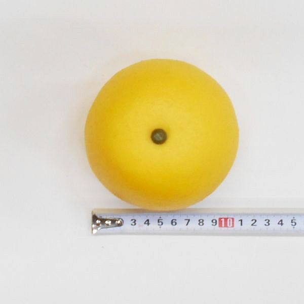  grapefruit ( artificial flower fruit * fake food * food sample )
