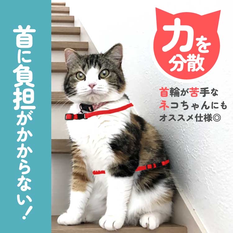  cat Harness cord type Lead cat collar Lead attaching cat supplies walk stylish one body coming off not stylish walk .. not 