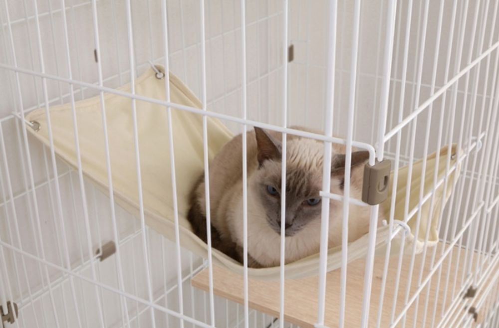  woody cat cage 3 step Iris o-yamaIRIS PWCR-963V light natural ( returned goods un- possible )