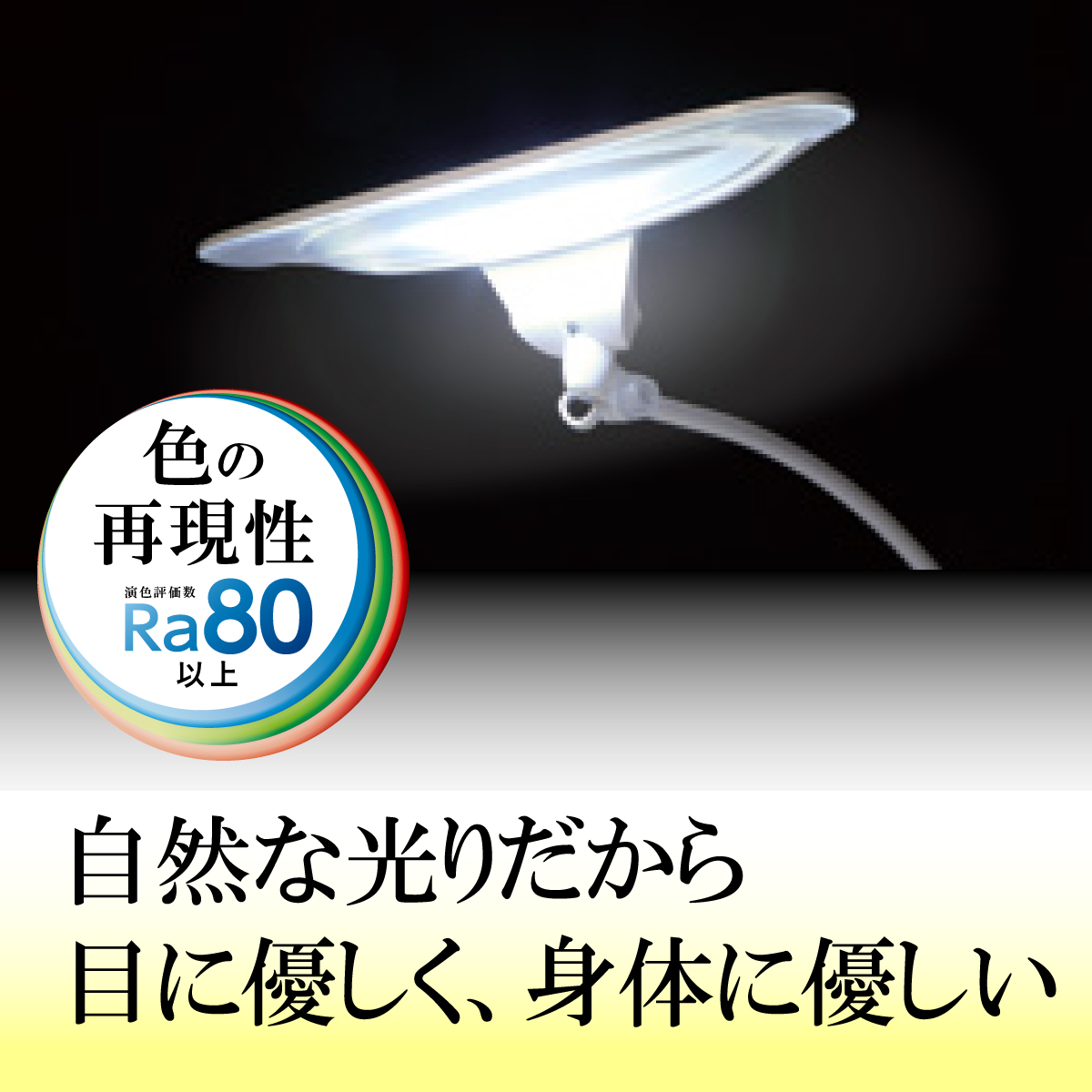 完売しました】カリモク ディズニーモデル KS0156AR 塔の上の 完売しました】カリモク ディズニーモデル KS0156AR 塔の上の