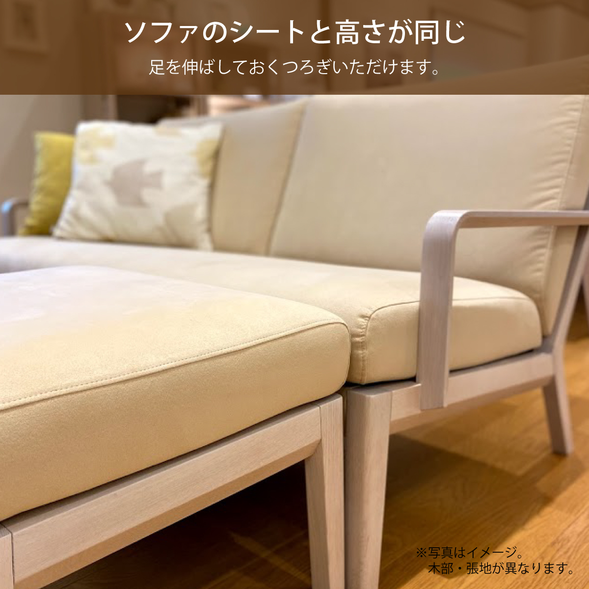 karimokutokuyaku_wu4506_3 karimokutokuyaku_wu4506_3