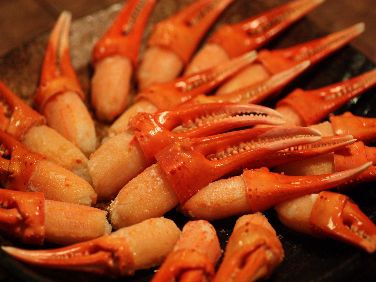  snow crab crab nail ... crab nail red snow crab crab saucepan Hokkaido your order seafood seafood domestic production .zwai. nail Boyle 1Kg
