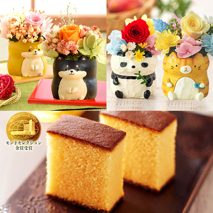 Mother's Day flower present 70 fee gift ( sweets discount for early booking 60 fee 80 fee set food Japanese confectionery high class dog cat arrangement confection ) preserved flower 0.3 number MDQ4