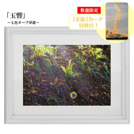  autumn origin . good wonderful photograph 2L version sphere . 7 color o-b coming off . gold dragon card with special favor silver salt life photograph better fortune goods .. up 