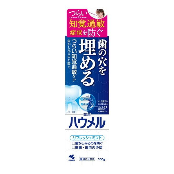 小林製薬 小林製薬 ハウメル リフレッシュミント 100g×6本 歯磨き粉の商品画像