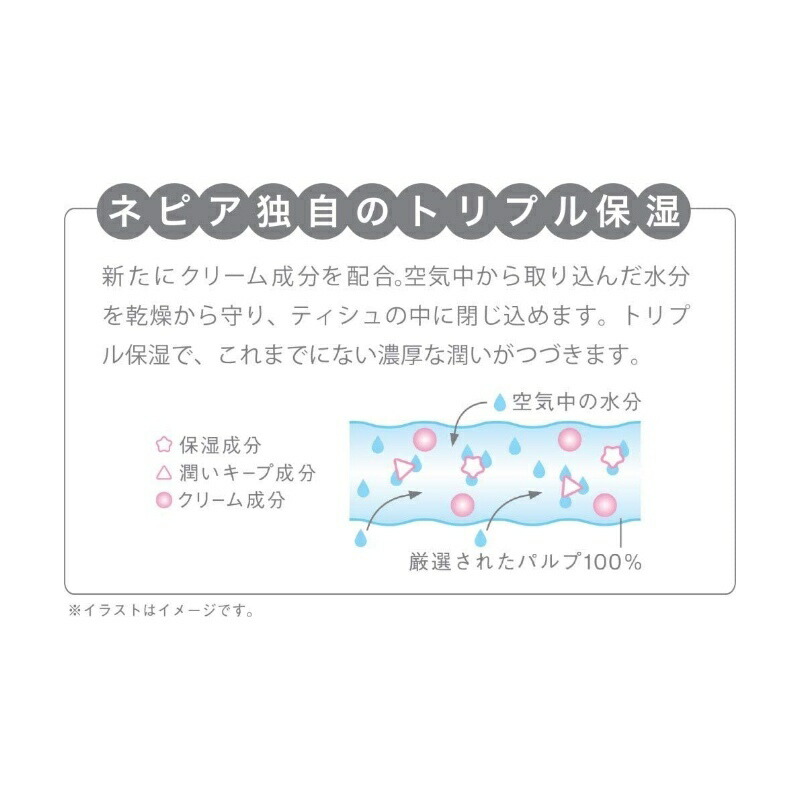 ne Piaa nose Celeb pocket tissue 10 piece 24 sheets (12 collection ) × 16 pack nose Celeb pocket tishu