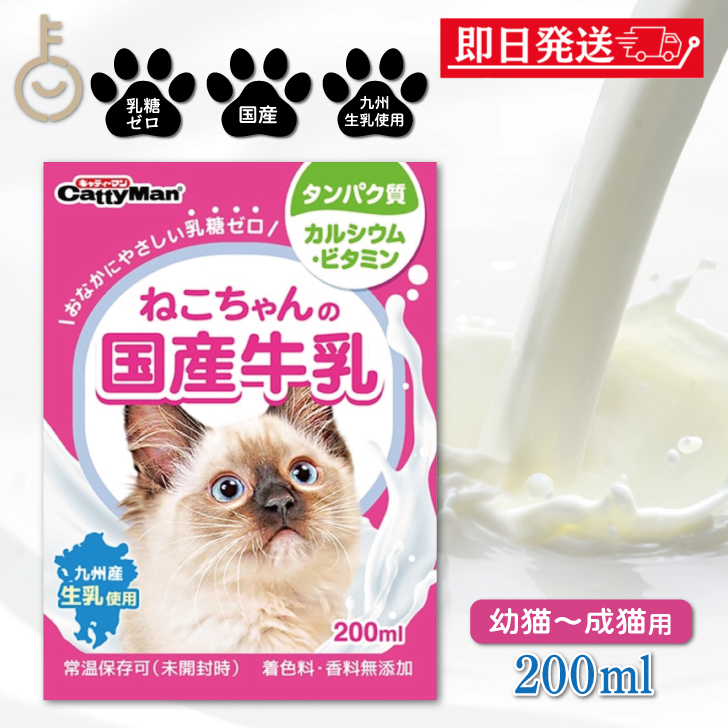  Doogie man is cocos nucifera .. Chan. domestic production milk 200ml 1 piece doggyman Doogie man cat cat cat Chan 