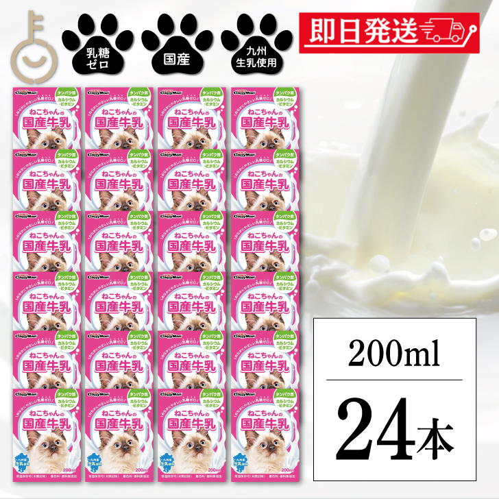  Doogie man is cocos nucifera .. Chan. domestic production milk 200ml 24 piece doggyman Doogie man cat cat cat Chan 