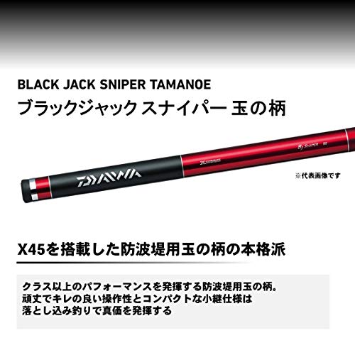  Daiwa (DAIWA) sphere. pattern Black Jack snaipa-600 Q