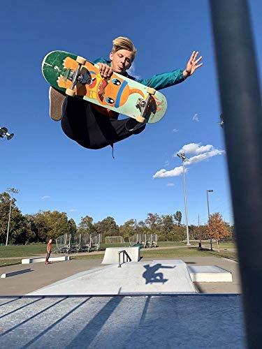 ローボード Yocaher Punked Complete Skateboards 7.75またはMini CruiserまたはMicro Cruiser Sha 【2449072680】(12922円)