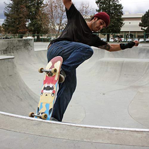 ローボード Yocaher Punked Complete Skateboards 7.75またはMini CruiserまたはMicro Cruiser Sha 【2449072680】(12922円)