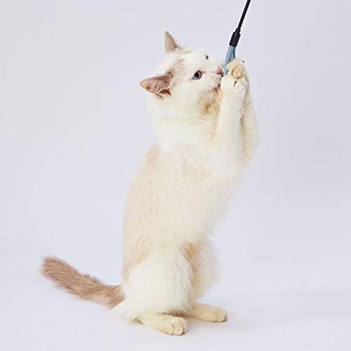 petio(Petio) кошка для игрушка necoco кожа кошка ...... кожа 