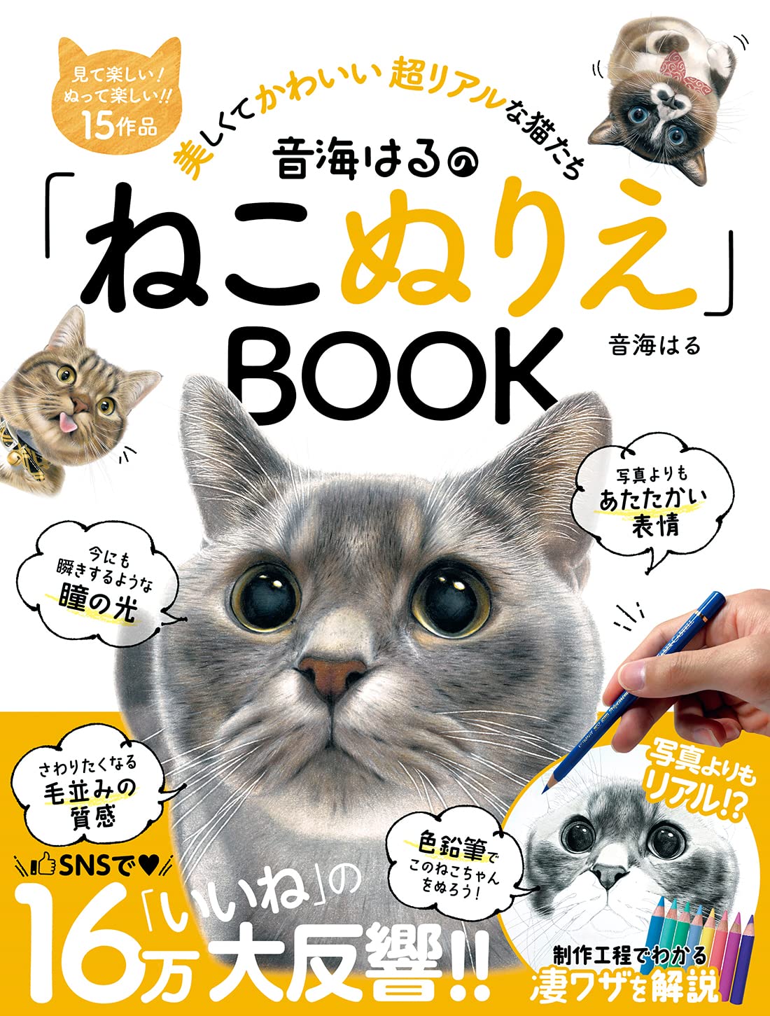  звук море. .. [.. раскрашенные картинки ]BOOK