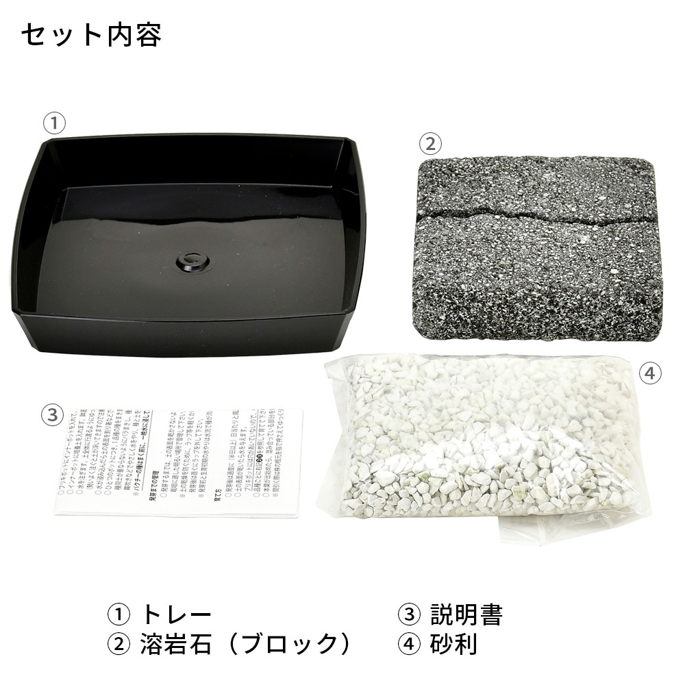 雑草栽培セット 栽培キット 草 植物 観賞用 コンクリート風 ユニーク 面白い 趣味 子ども 自由研究 簡単 インテリア 育てる 癒し ギフト 贈り物 プレゼント キングセレクション 通販 Paypayモール