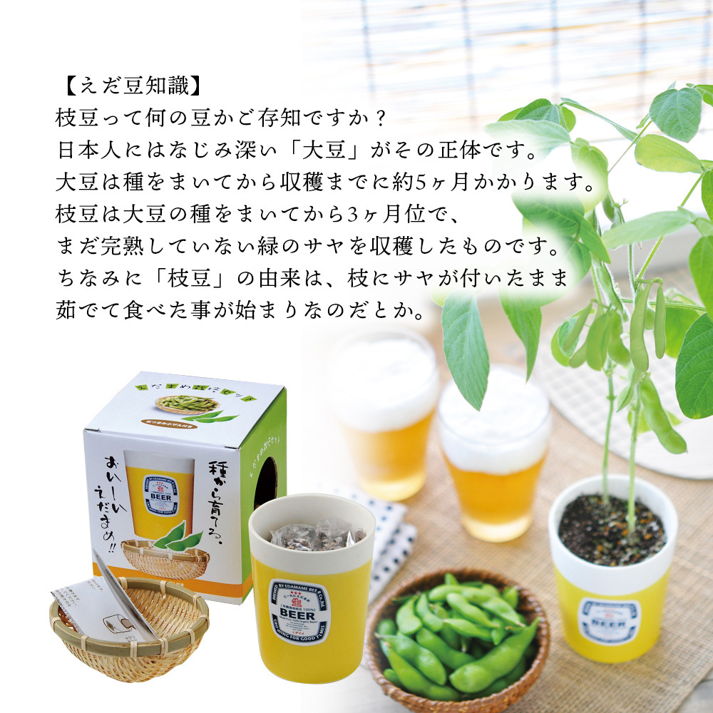 えだまめ栽培セット 枝豆 食べれる 家庭菜園 栽培キット ガーデニング 小さい 育てやすい 可愛い グリーン おうち時間 家 お手軽 ユニーク 雑貨 父 キングセレクション 通販 Paypayモール