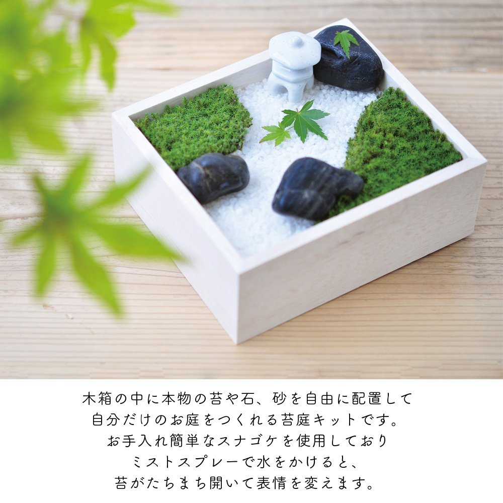 苔盆 苔 コケ テラリウム 手作り 工作 キット 苔庭 スナゴケ インテリア ハンドメイド 日本庭園風 自作 簡単 おしゃれ 趣味 簡単 癒し ギフト 贈り物 プレゼント キングセレクション 通販 Paypayモール