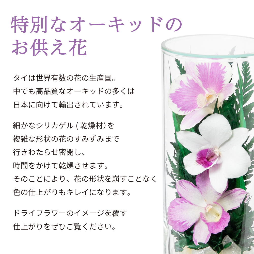 現金特価 仏花 お供え ドライフラワー 花 アレンジ ボトルフラワー ガラスボトル お手入れ不要 枯れない 仏壇 供養 祭壇 おしゃれ お盆 お彼岸 Columbiatools Com