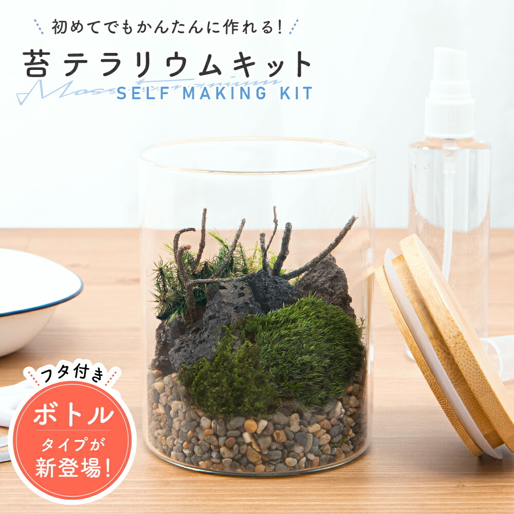 テラリウム キット 苔 ハンドメイド 日本製 インテリア 雑貨 プレゼント ギフト 趣味 癒し 簡単 こけ コケ ガラス容器 プレゼント ギフト おしゃれ キングセレクション 通販 Paypayモール