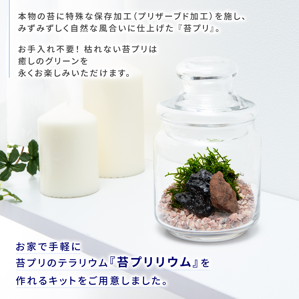 最大93 Offクーポン 母の日 プレゼント ギフト 苔テラリウム 手作り キット ハンドメイド 日本製 インテリア 雑貨 趣味 父 母 祖父 祖母 大人 工作 簡単 コケ 観葉植物 おしゃれ Heartlandgolfpark Com