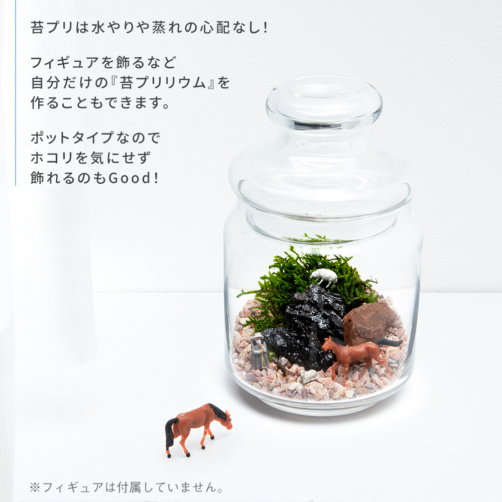 最大93 Offクーポン 母の日 プレゼント ギフト 苔テラリウム 手作り キット ハンドメイド 日本製 インテリア 雑貨 趣味 父 母 祖父 祖母 大人 工作 簡単 コケ 観葉植物 おしゃれ Heartlandgolfpark Com