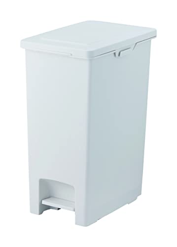 アスベル フタ付きゴミ箱 ECエバンペダル 軽いペダル 45L 白 衛生的 A6891の商品画像