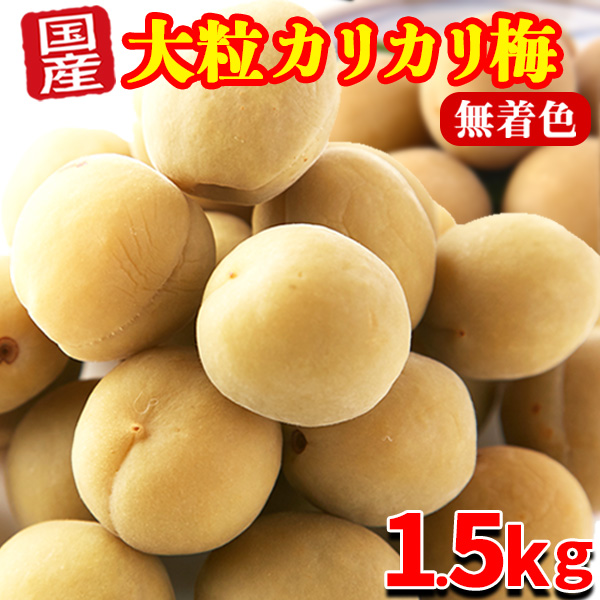 大利根漬 国産かりんこ梅 無着色 500g×1個 梅干し - 最安値・価格比較
